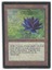 Black Lotus (#700)